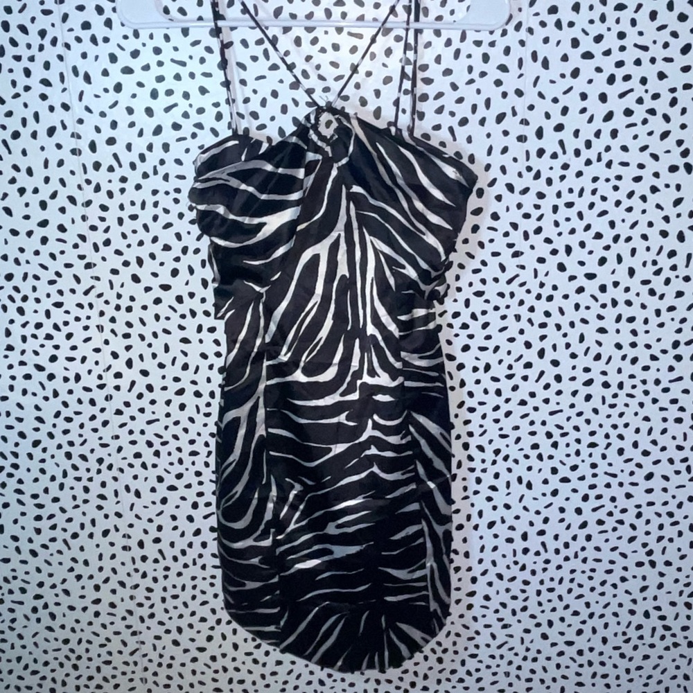 Zara Zebra Print Satin Mini Dress